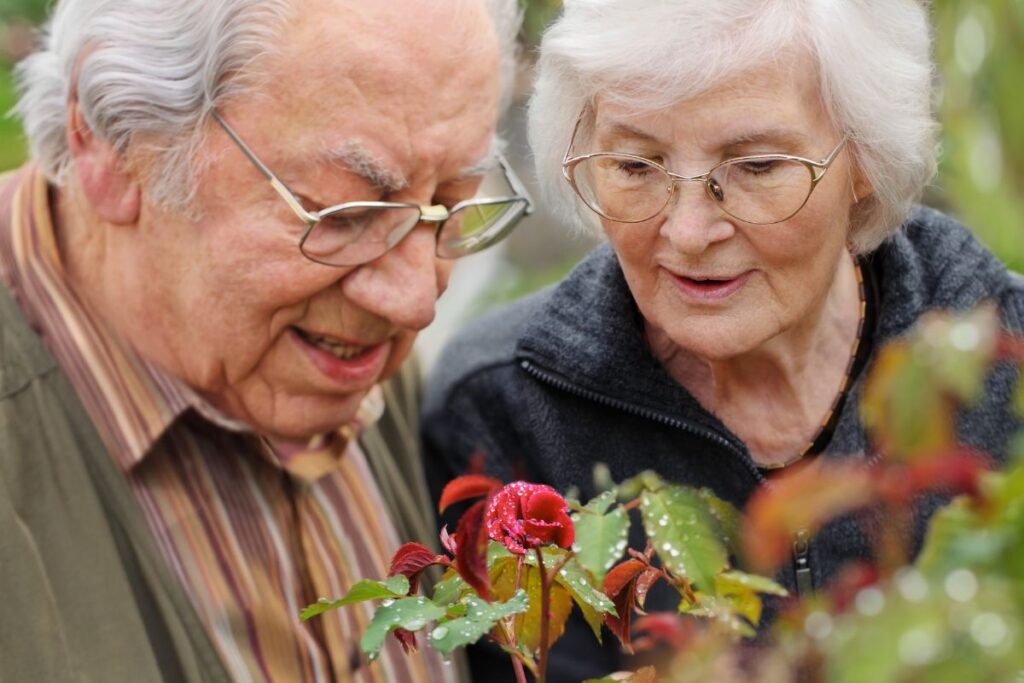 senior couple spending time outdoors on valentine's day